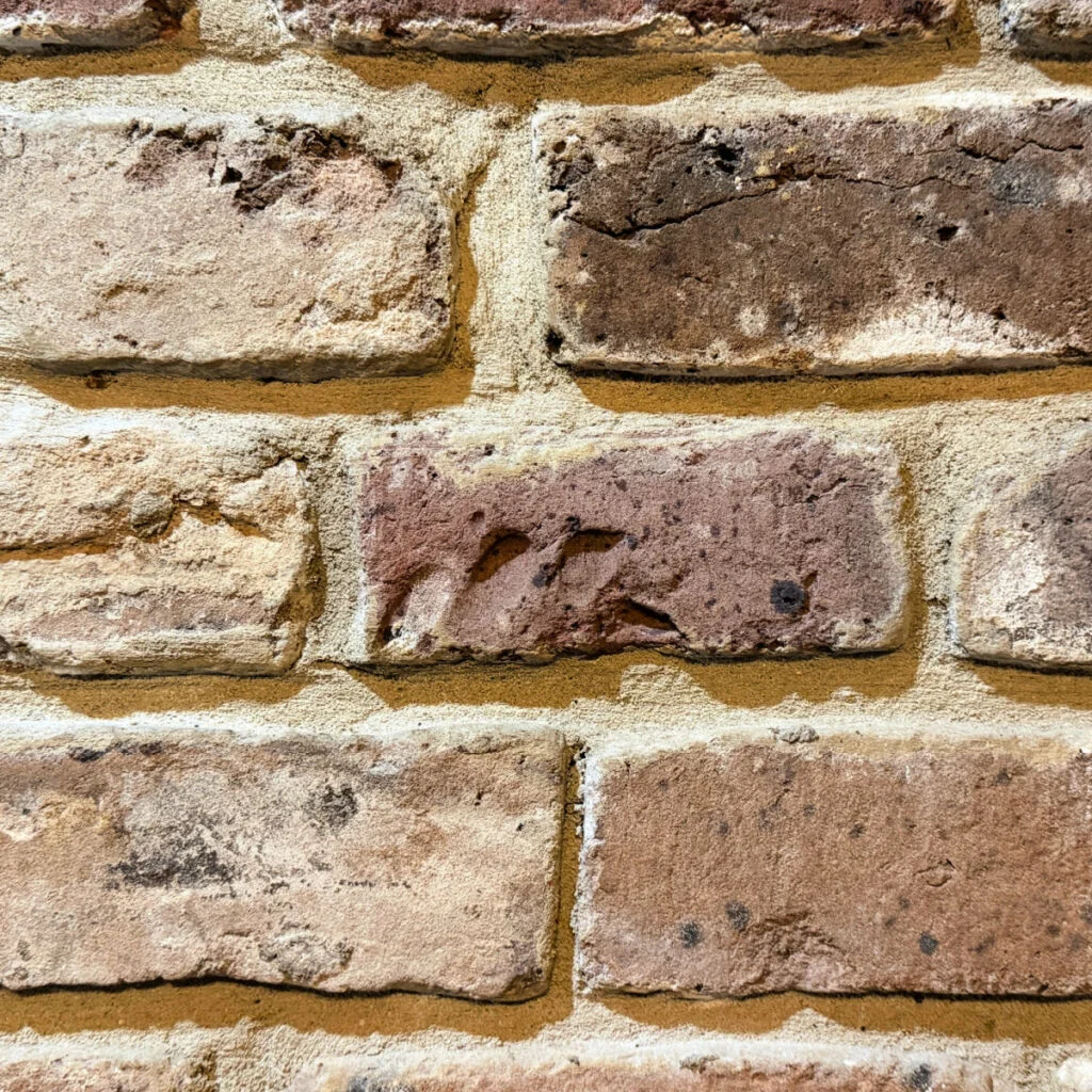 Savannah Grey Bricks. Photo by Liz Fox