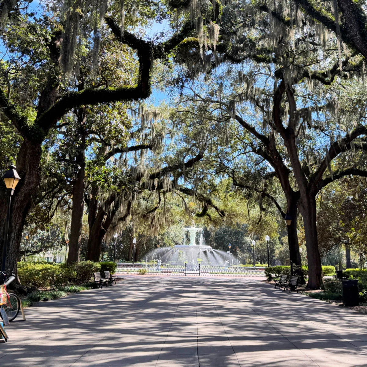 Forsyth Park, Savannah GA. Photo by Liz Fox