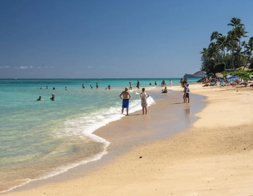 Laniakea Beach crowd Oahu