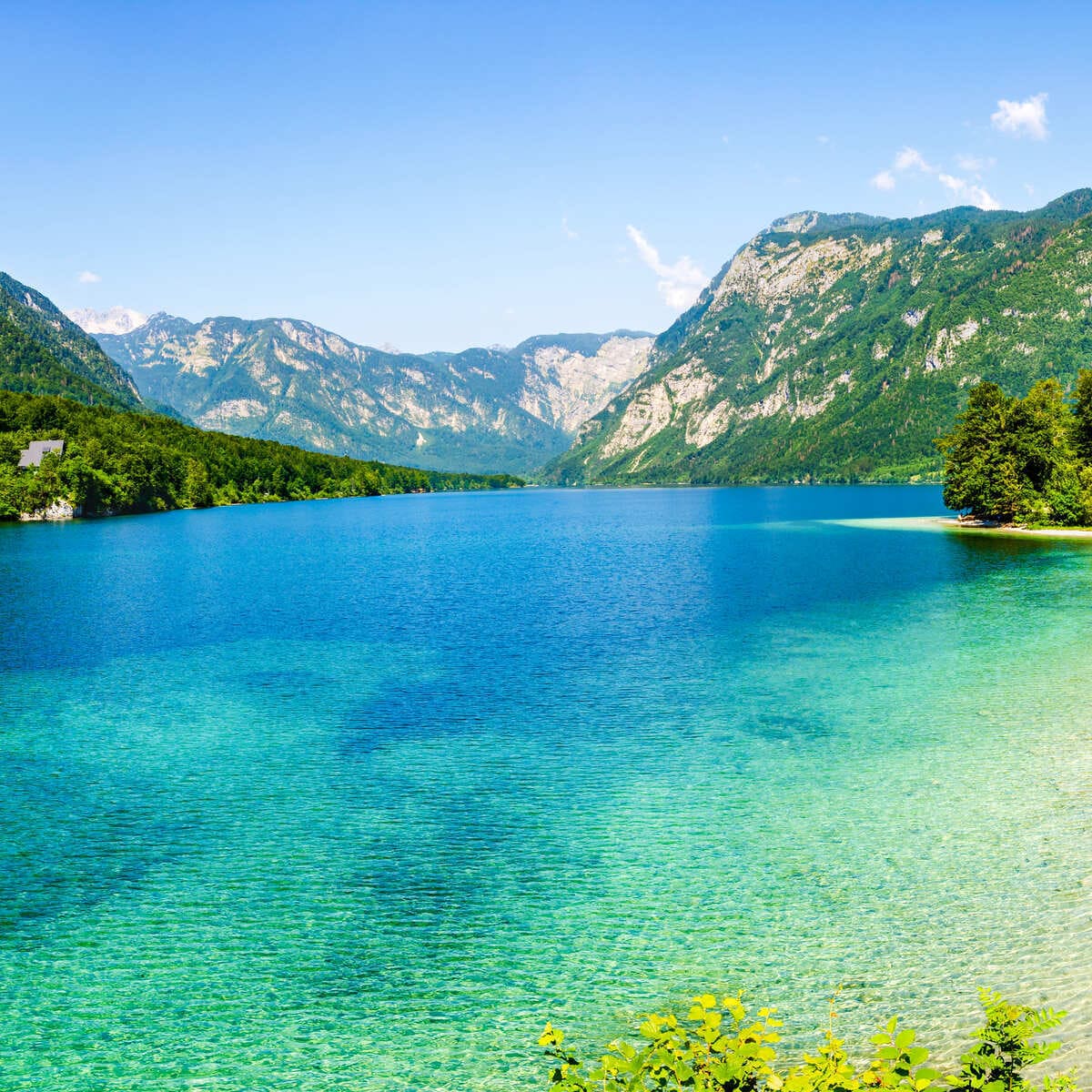 Lake Bohinj In Slovenia
