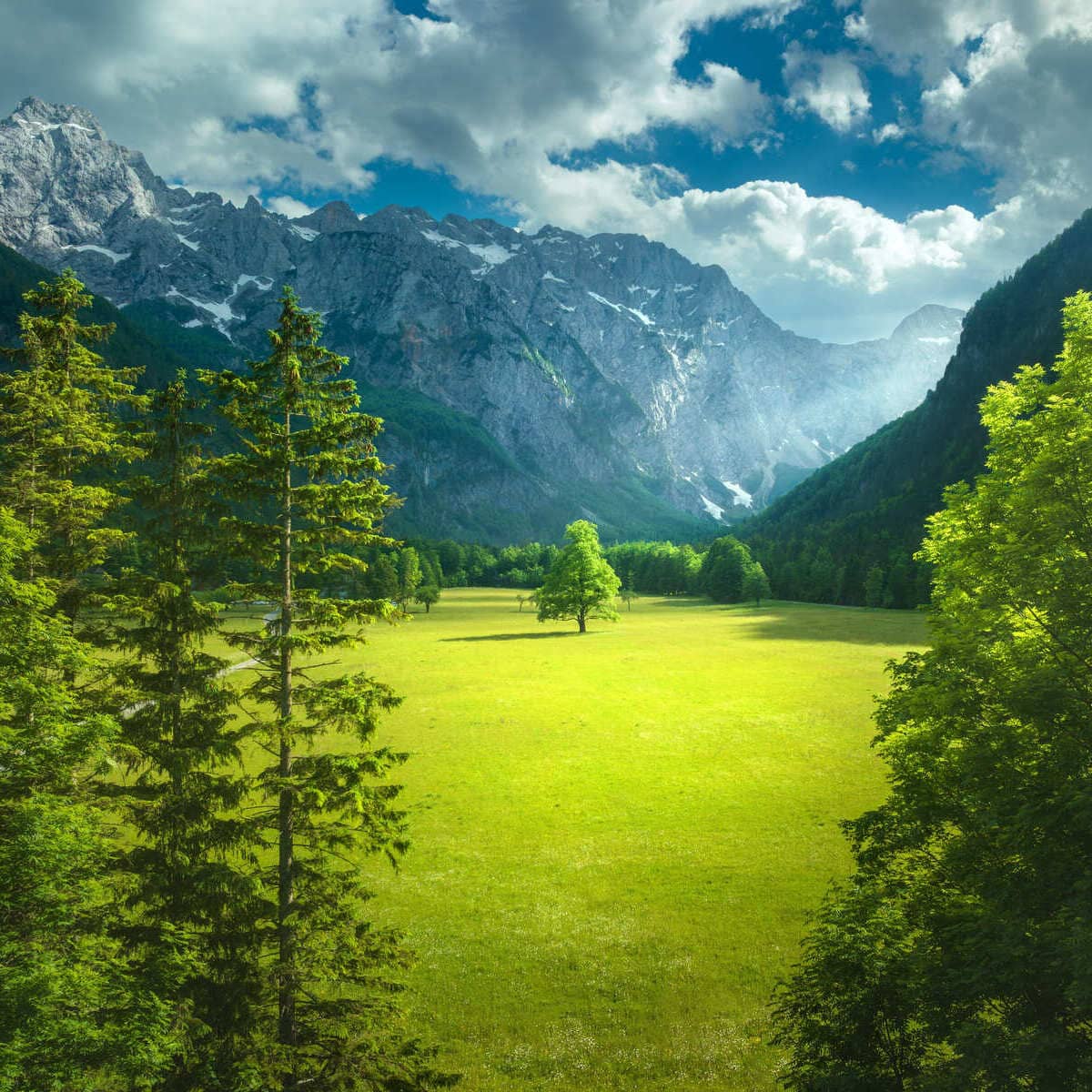 The Alpine Logar Valley In Slovenia