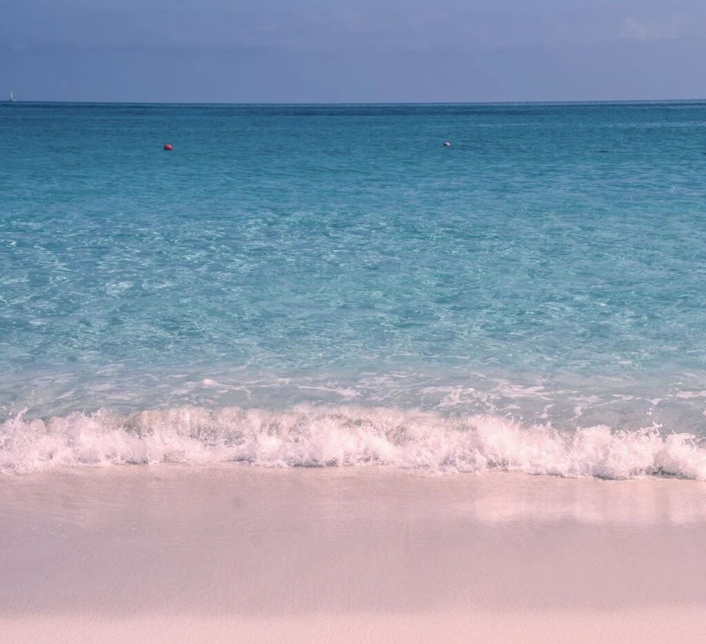 Pink sand beach on Harbour Island, Bahamas.