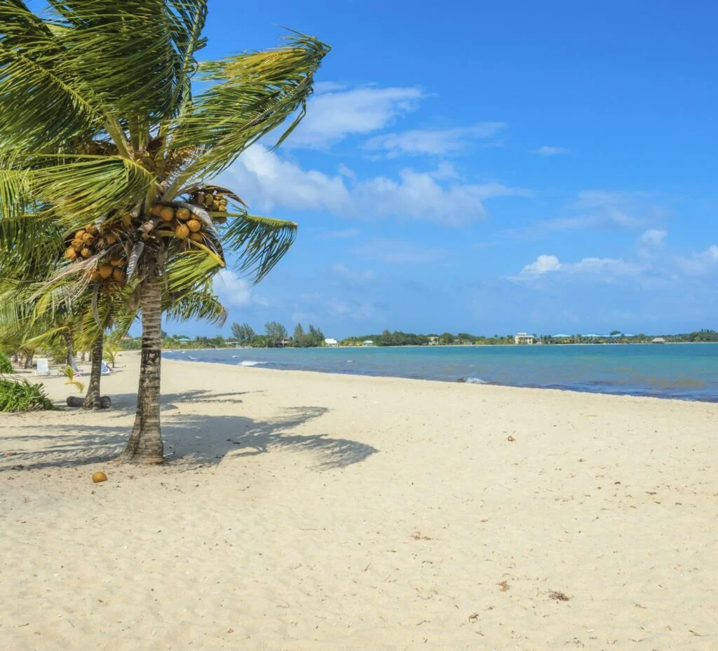 Paradise beach in Placencia, tropical coast of Belize, Caribbean Sea, Central America.