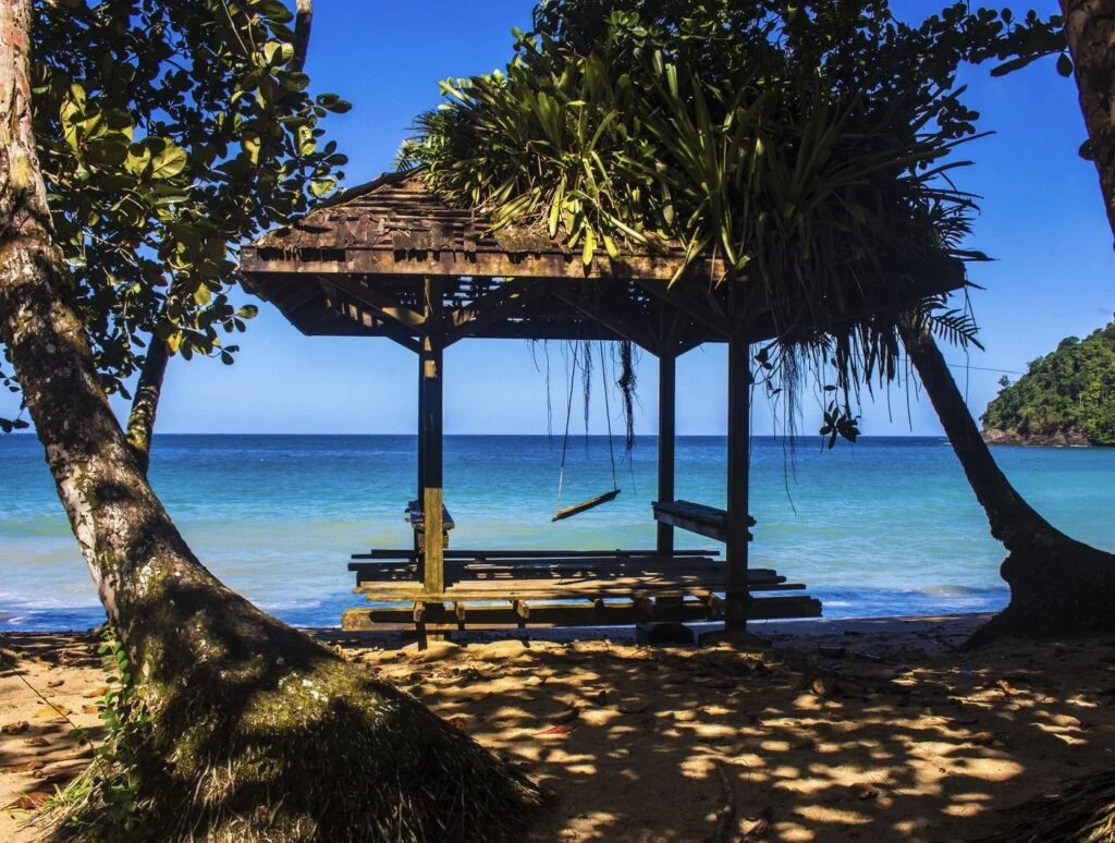 Englishman's Bay Swing Tobago