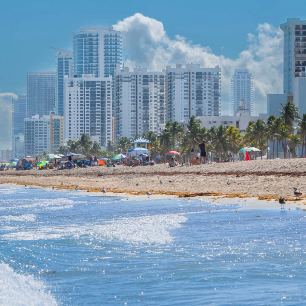View of Miami from Virginia Key