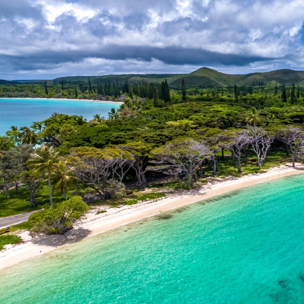 A stunning low-angle aerial view of a secluded beach on the Isle of Pines, New Caledonia. The white sand and vibrant turquoise water are lined with beautiful tropical trees