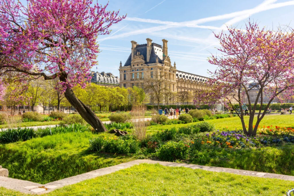Louvre palace and Tuileries gardens in spring, Paris, France
